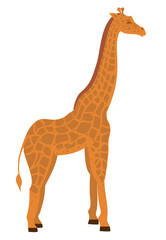 Giraffe in flat style. Vector illustration isolated on the white background. African animals. Wild animal vector. Giraffe icon