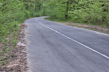 Forest road at the end of April