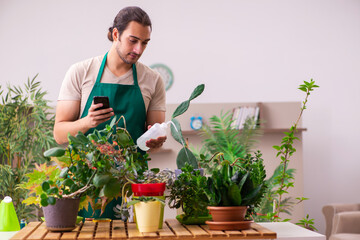 Young male gardener with plants indoors