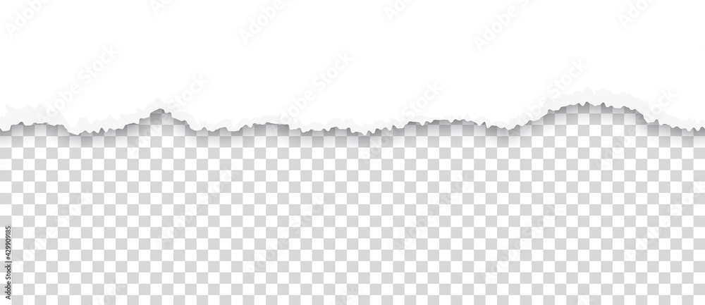 Poster Torn paper. Ripped sheet edge on transparent background. Page with horizontal rough divider line. White tattered cardboard piece. Blank document fragment. Vector grunge border design
