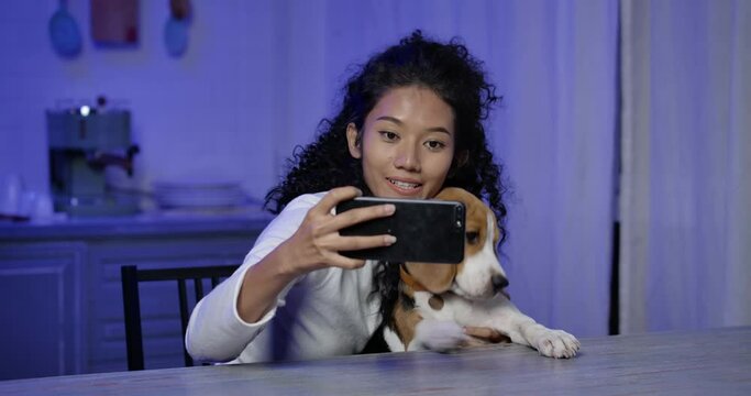 A young, happy and beautiful Asian woman with curly long hair using smartphone to taking selfie with cute beagle dog at night. Lifestyle isolate quarantine period and new normal concept.