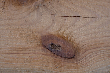 Wooden pine background with the defect. Texture. Copy space.	