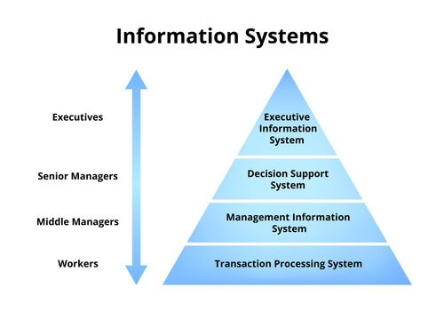 Types of information systems IS. Executive information system for executives, decision support system for senior managers, management information system, transaction processing system for workers.