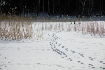 Some steps in the white snow on the ice