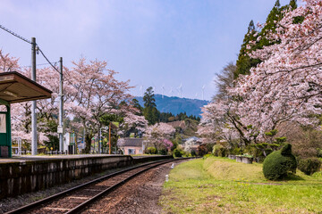 Fototapeta na wymiar JR久大本線北山田駅と桜