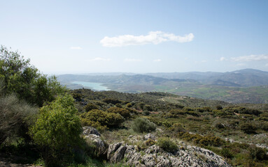Green landscape with blue sky and some clouds with a lake