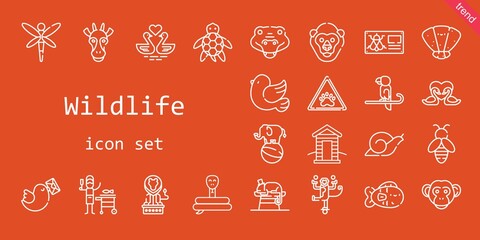wildlife icon set. line icon style. wildlife related icons such as pigeon, snail, crocodile, gorilla, bee, monkey, chameleon, turtle, seashell, paw, snake, cabin, swans, lion, dragonfly, bug