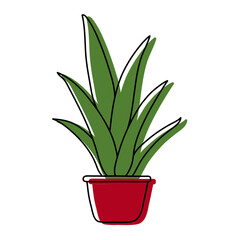 Indoor Scarlet Potted Sketch. Vector flower in a pot. Doodle color illustration of a plant. Cartoon drawing