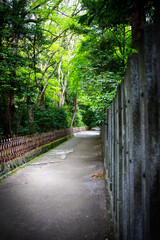 鶴岡八幡宮の祖霊社付近の小道(鎌倉市雪ノ下)