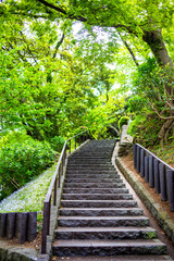 Fototapeta premium 地元民に愛される元町公園内の坂道