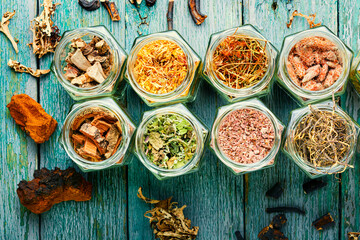 Medicinal herbs in herbal medicine