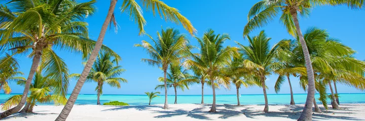 Fototapeten Panorama des idyllischen tropischen Strandes mit Palmen, weißem Sand und türkisblauem Wasser © Kaspars Grinvalds