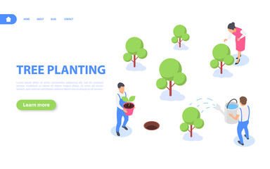 People are planting trees. Creation of the park. The concept of improving the ecology and the environment.