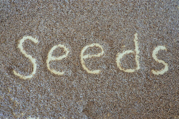 Seeds lettering written with a finger on the seeds of the lawn grass as a background. Natural...