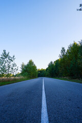 Vertical photo. An asphalt empty road surrounded by green trees. Close-up on road markings.