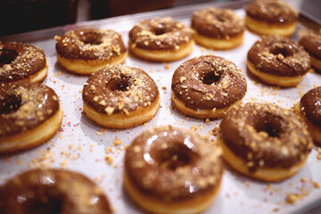 Delicious donuts with chocolate topping and crushed biscuit on the top on the tray in a candy workshop. Pastry, dessert, sweet