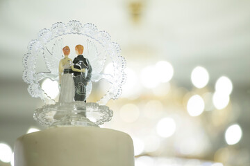 wedding doll cake / love couple / happy concept