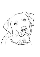 Fototapeta premium Dog. Sketch. Line art.