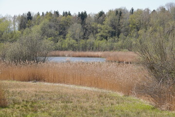 Obraz premium Am Tonwerkweiher in Kolbermoor