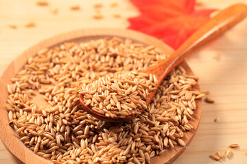 A close-up shot of oats