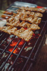 Traditional Thai roasted pork.Choose focus roasted pork stick, Grilled pork Thai traditional street food