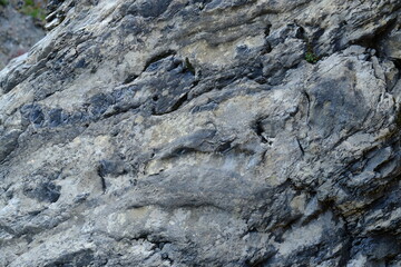 A close-up on a stone at Engelberg, Switzerland, the 24th April 2021.