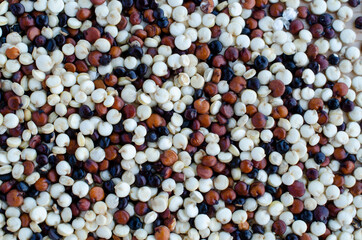 Dry organic three color quinoa seed background, for healthy or clean food ingrediet or agricultural product concept