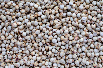 Dry organic millet seeds background, for clean food ingredient or agricultural product concept