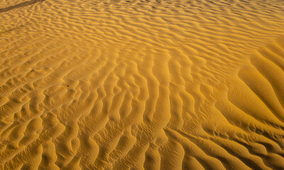 Dune sand wave patterns with shadows