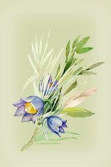 Wild herbs.Watercolour.Image on white and colored background.