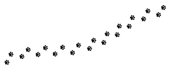 Foot trail of cat. Vector cat footprint, path pattern animal tracks, isolated on white background.