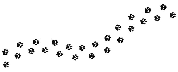 Foot trail of dog. Vector design dog footprint, path pattern animal tracks, isolated on white background.