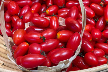 Small tomatoes in a basket