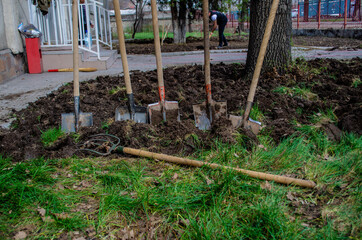 A pile of shovels and rakes on the ground.