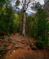 walk through the national park of ordesa and lost mountain