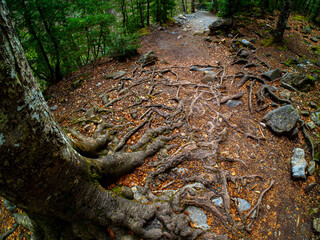 walk through the national park of ordesa and lost mountain