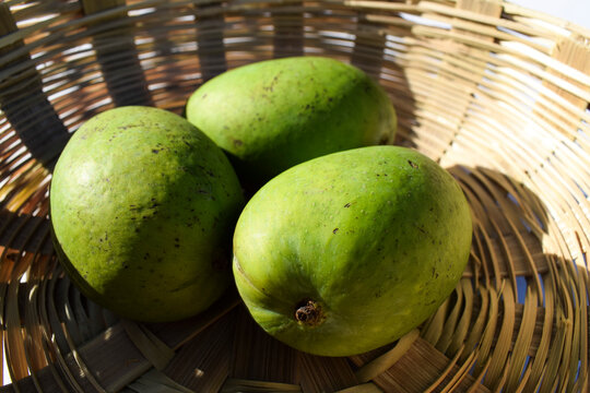 Fresh raw green Mangoes in basket from India Asian. Asian raw unripe green organic mango in wicker basket. plucked fresh