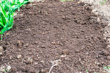 dug up and loosened strip of land close-up