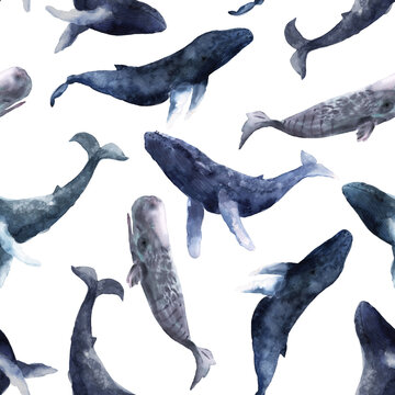 Seamless pattern with blue whales of different breeds in watercolor. Marine life of the seas and oceans. Hand drawn animals