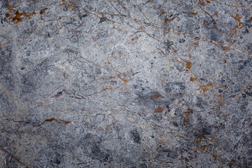 Abstract. Background image of marble with beautiful patterned donkey.