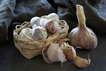 Still life with garlic. Small round garlic in a basket, garlic bulbs and gloves on gray textured background. 