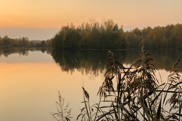 Sunset light over lake with yellow leaves trees reflected in water, autumnal landscape