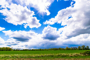 field and blue sky with clouds