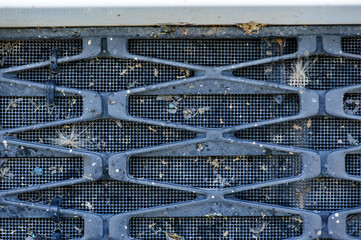 Bugs and flies crashed and stuck in grille of car radiator