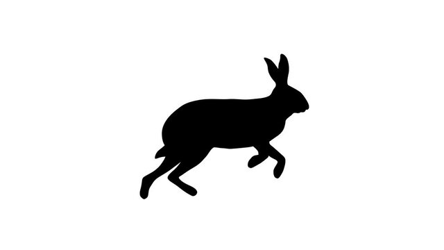 A running hare, animation on the white background