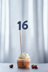 Tasty homemade vanilla creamy cupcake or muffin with topping and number 16 sixteen and bright...
