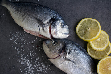 Uncooked sea bream fish on gray textured background. Fresh eating concept. Raw dorado fish top view photo. 
