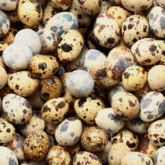 Seamless background of quail eggs on flat surface. Minsk. Belarus.