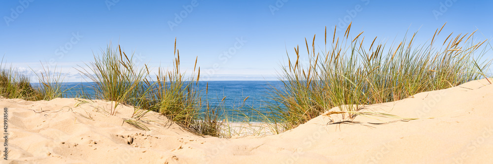 Wall mural sand dunes panorama with beach grass