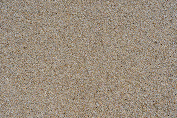 Sandy beach background. Detailed sand texture. Top view